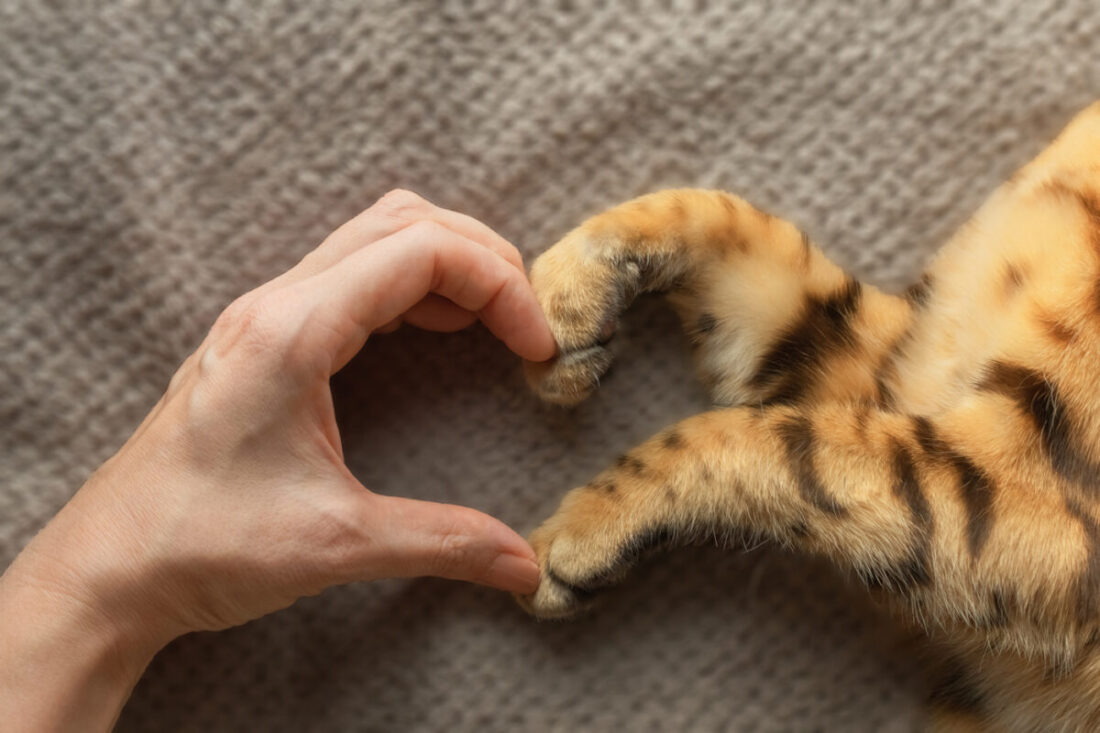 Care, community and compassion under one roof