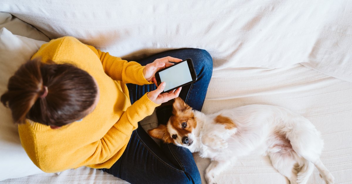 Pet parent on mobile phone to book appointment with dog.