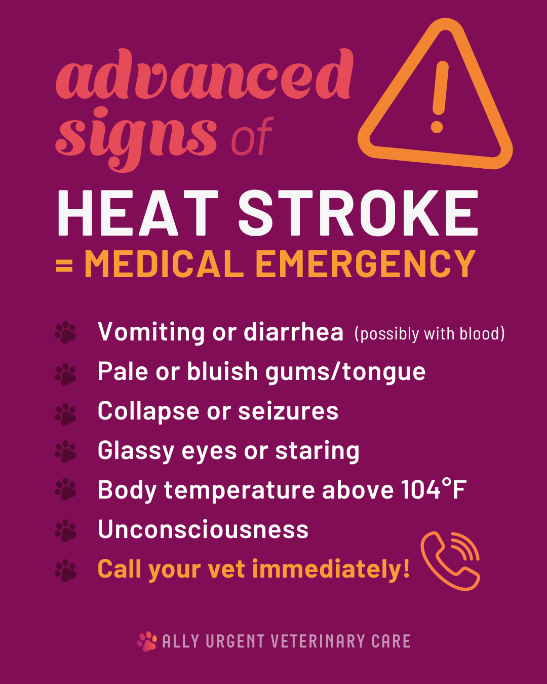 advanced signs of heat stroke in pets